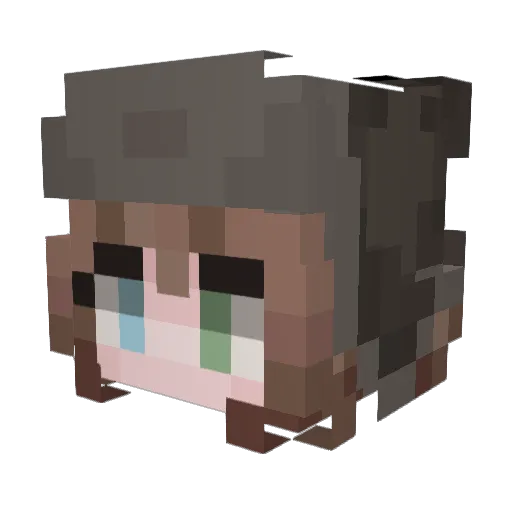 Bonnemassenberg Minecraft avatar head, 3D render