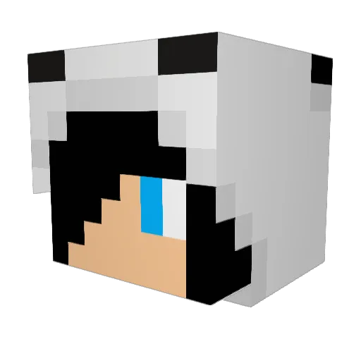 BonnenuIt_hy Minecraft avatar head, 3D render