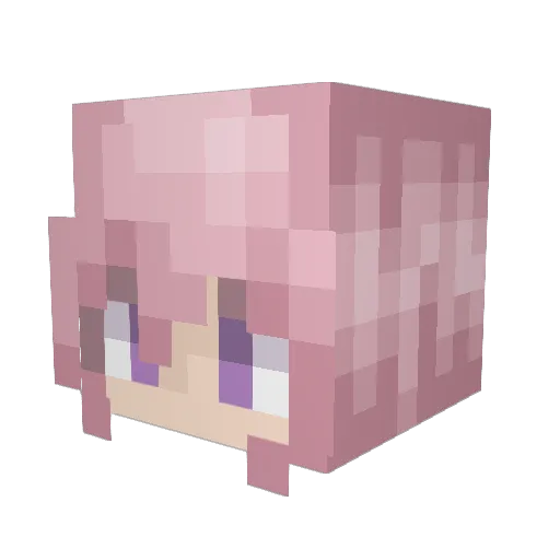 Bonniecat122 Minecraft avatar head, 3D render