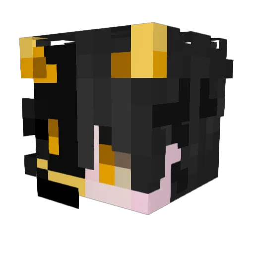 Bonnieman_ Minecraft avatar head, 3D render