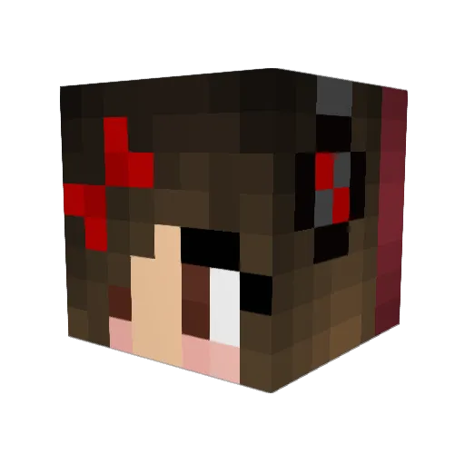 BonsaiMa Minecraft avatar head, 3D render