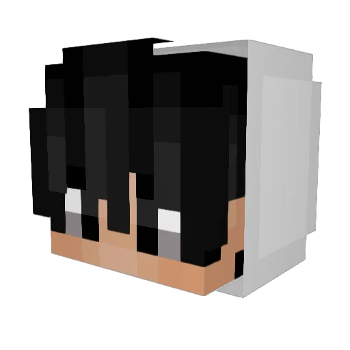 BonsayR Minecraft avatar head, 3D render