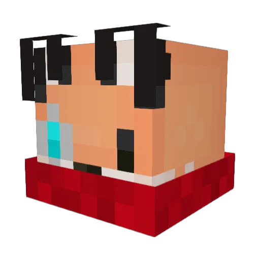 Bonseyz Minecraft avatar head, 3D render