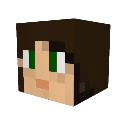 Bonsta13 Minecraft avatar head, 3D render