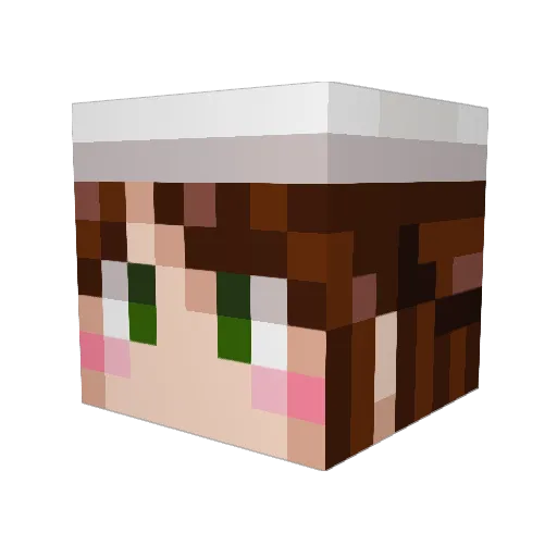 Bontakun74 Minecraft avatar head, 3D render