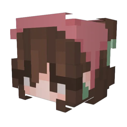 BonusFeelsSleepy Minecraft avatar head, 3D render