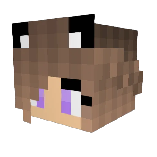 Bonuskindje Minecraft avatar head, 3D render