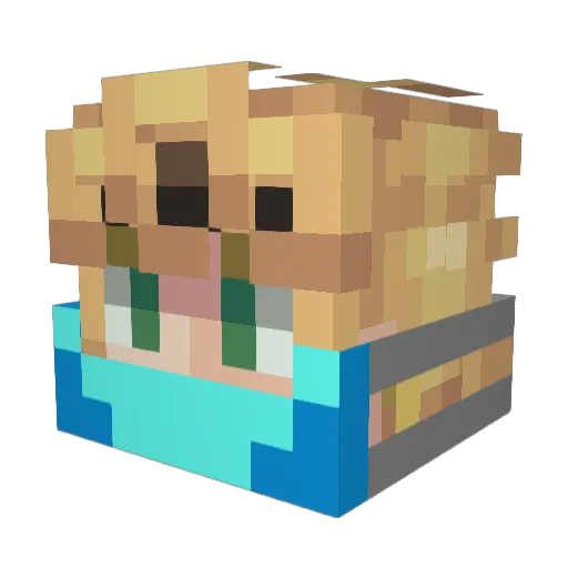 Bonuv Minecraft avatar head, 3D render