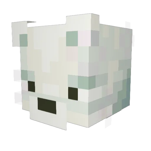 Bonza64 Minecraft avatar head, 3D render