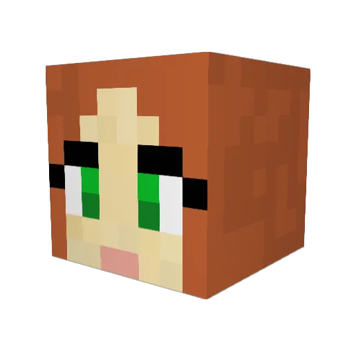 Bonzaboy1 Minecraft avatar head, 3D render