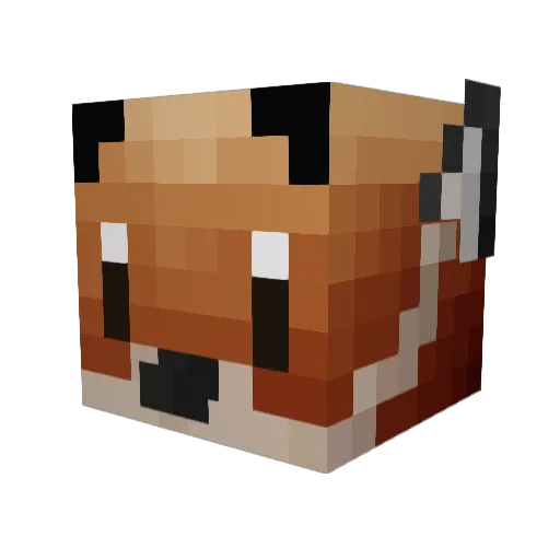 Bonzercastle Minecraft avatar head, 3D render