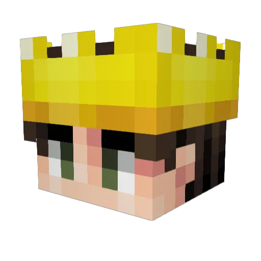 Bonzeyw Minecraft avatar head, 3D render