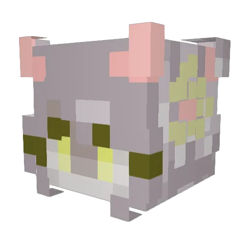 Bonzii__ Minecraft avatar head, 3D render