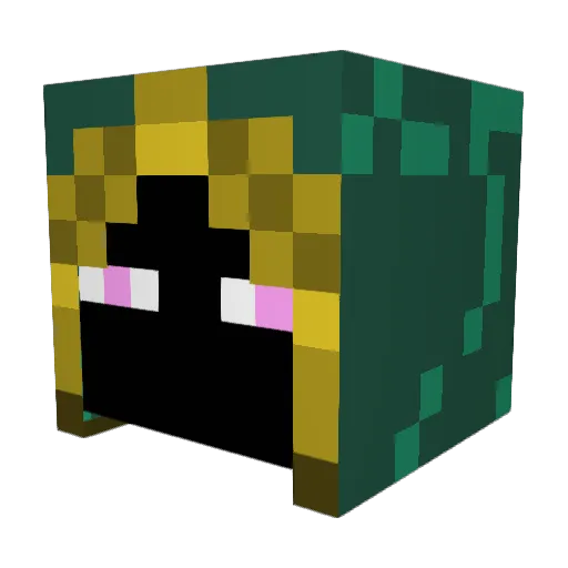 Bonzodogdd Minecraft avatar head, 3D render