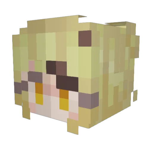 Boo0013 Minecraft avatar head, 3D render