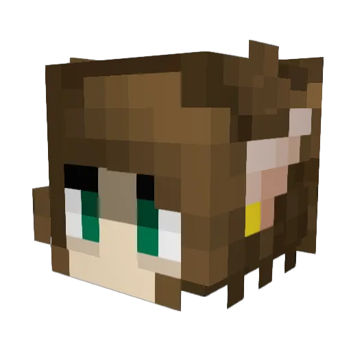 Boo24377 Minecraft avatar head, 3D render