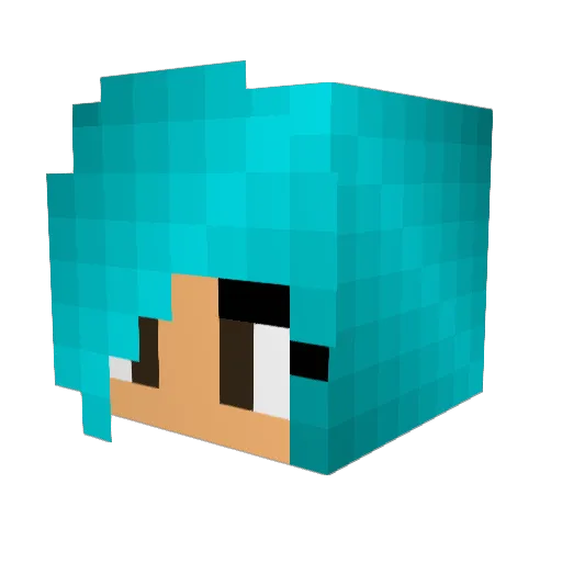 Boo3458 Minecraft avatar head, 3D render