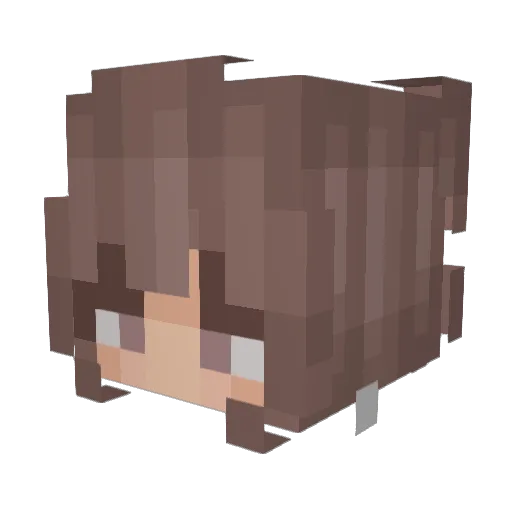 Boo6678 Minecraft avatar head, 3D render