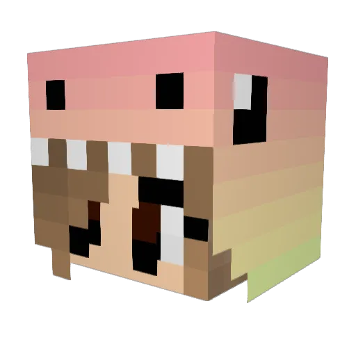 BooBearxoxo Minecraft avatar head, 3D render
