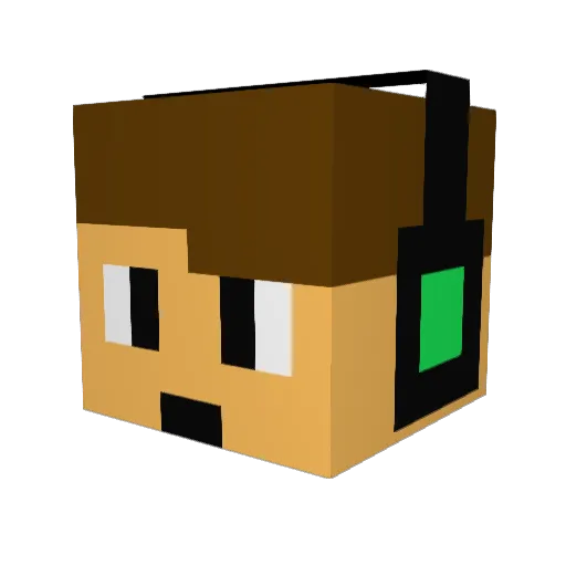 BooCatRocks Minecraft avatar head, 3D render