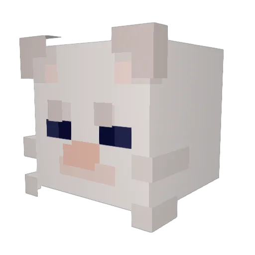 BooGlaNenne Minecraft avatar head, 3D render
