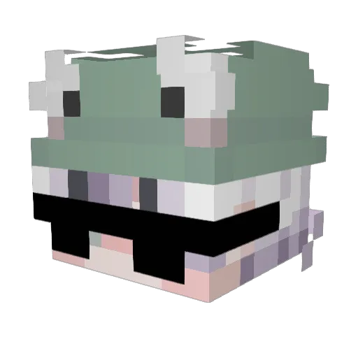 Boo_Boo_2000 Minecraft avatar head, 3D render