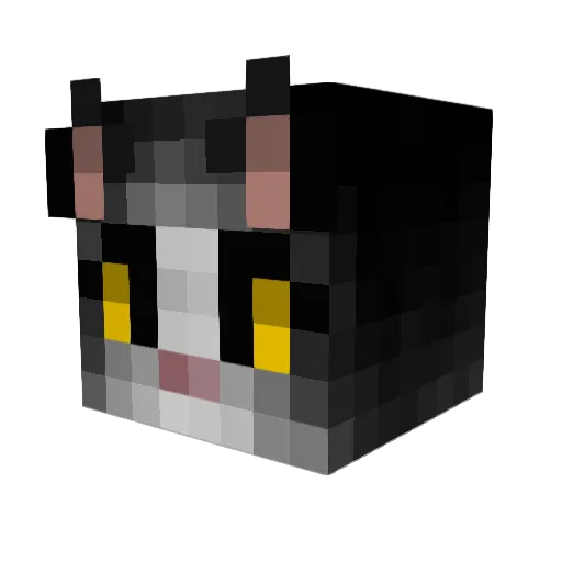 Boochae_ Minecraft avatar head, 3D render