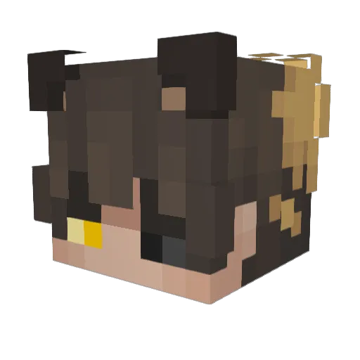 Boochatari Minecraft avatar head, 3D render