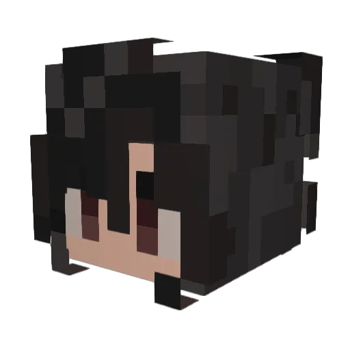 Boodwei Minecraft avatar head, 3D render