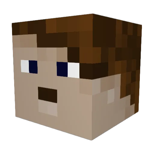 BoofEyes Minecraft avatar head, 3D render