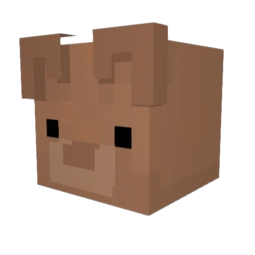 Boof_e Minecraft avatar head, 3D render
