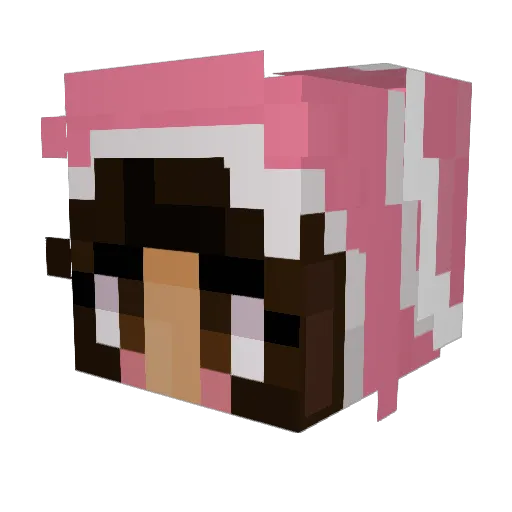 Boofee_ Minecraft avatar head, 3D render