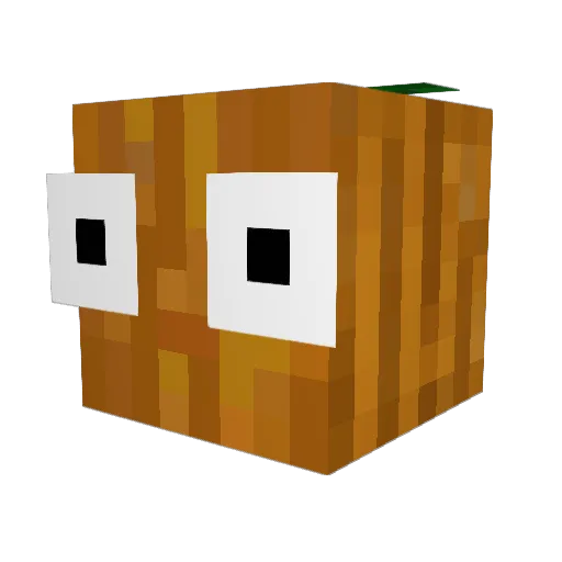 Boofiebandit Minecraft avatar head, 3D render