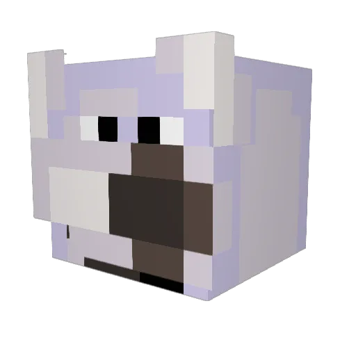 BoofinTylenol Minecraft avatar head, 3D render