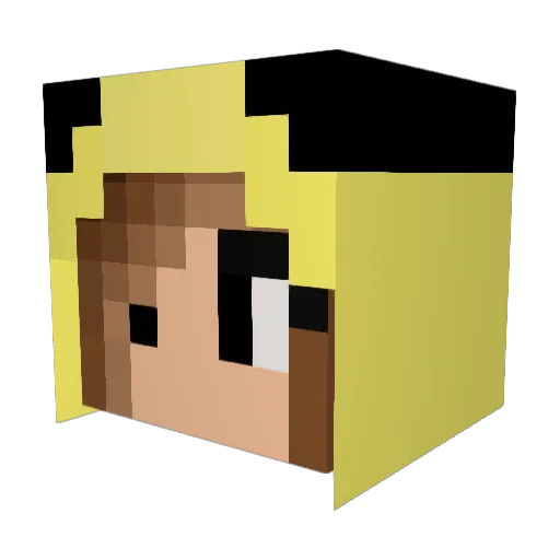 Boofit Minecraft avatar head, 3D render