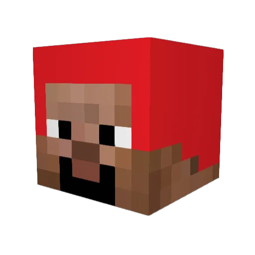 Booga2 Minecraft avatar head, 3D render