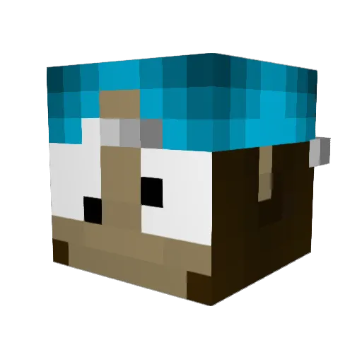 Booga971 Minecraft avatar head, 3D render