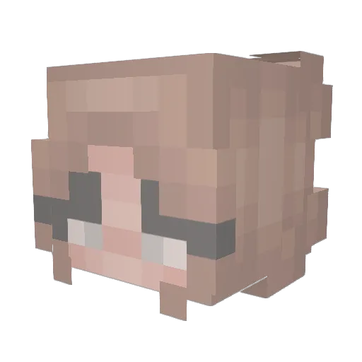 Booga_A_123 Minecraft avatar head, 3D render