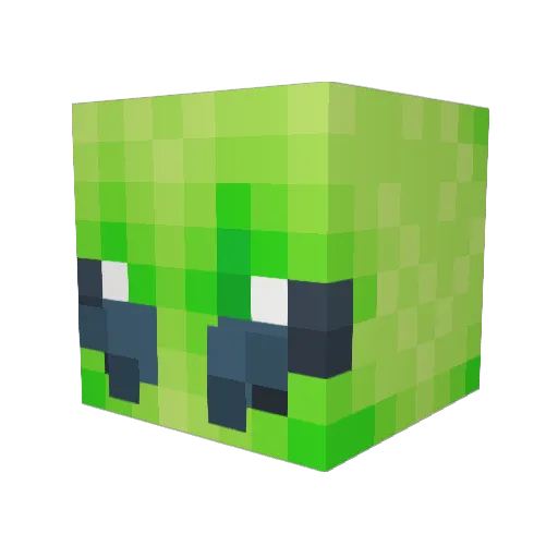 BoogerEater256 Minecraft avatar head, 3D render