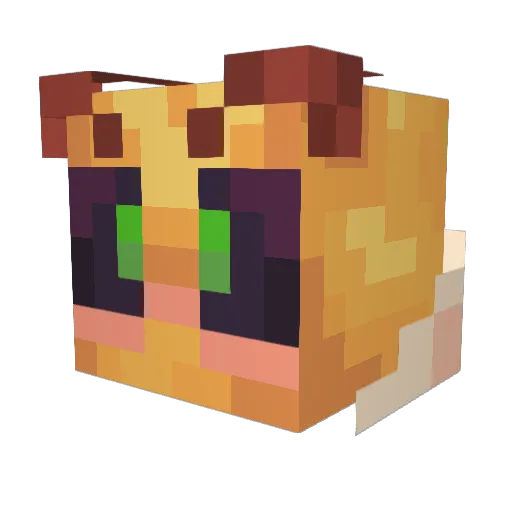 Boogiebdaman Minecraft avatar head, 3D render