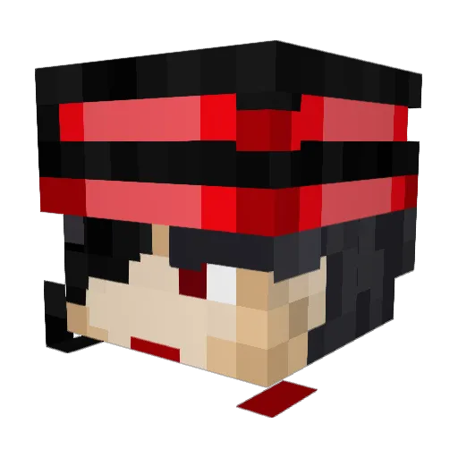 Boogusboogus Minecraft avatar head, 3D render