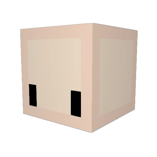 BookAke Minecraft avatar head, 3D render