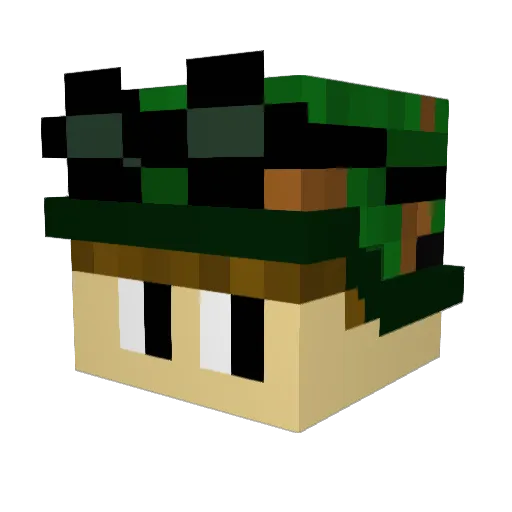 BookBoy6 Minecraft avatar head, 3D render