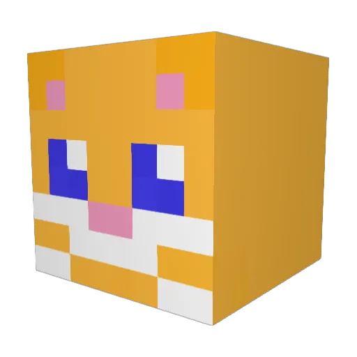 BookCat101 Minecraft avatar head, 3D render