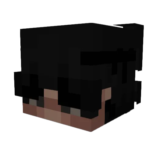 BookCook73 Minecraft avatar head, 3D render