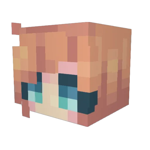 BookLisa Minecraft avatar head, 3D render