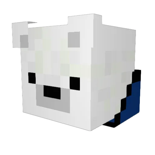 BookMan87 Minecraft avatar head, 3D render