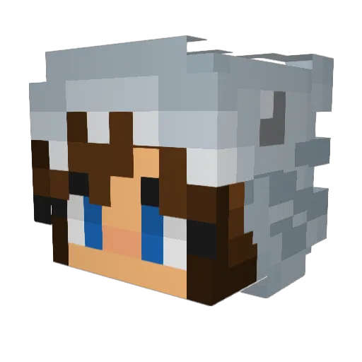 BookOfAloha132 Minecraft avatar head, 3D render