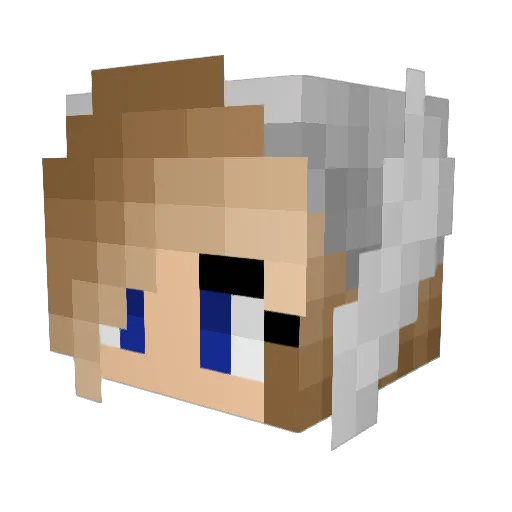 BookTiger Minecraft avatar head, 3D render