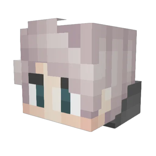BookWood18 Minecraft avatar head, 3D render